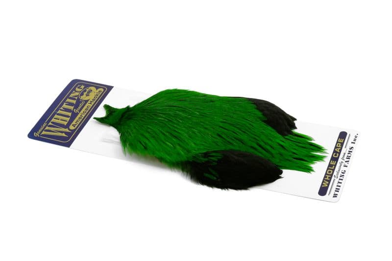 American Rooster Cape Badger dyed Highlander Green view 2