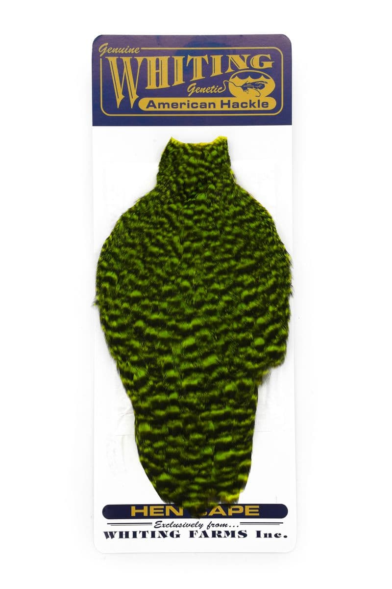 American Hen Cape Grizzly dyed Fl. Green Chartreuse view 3