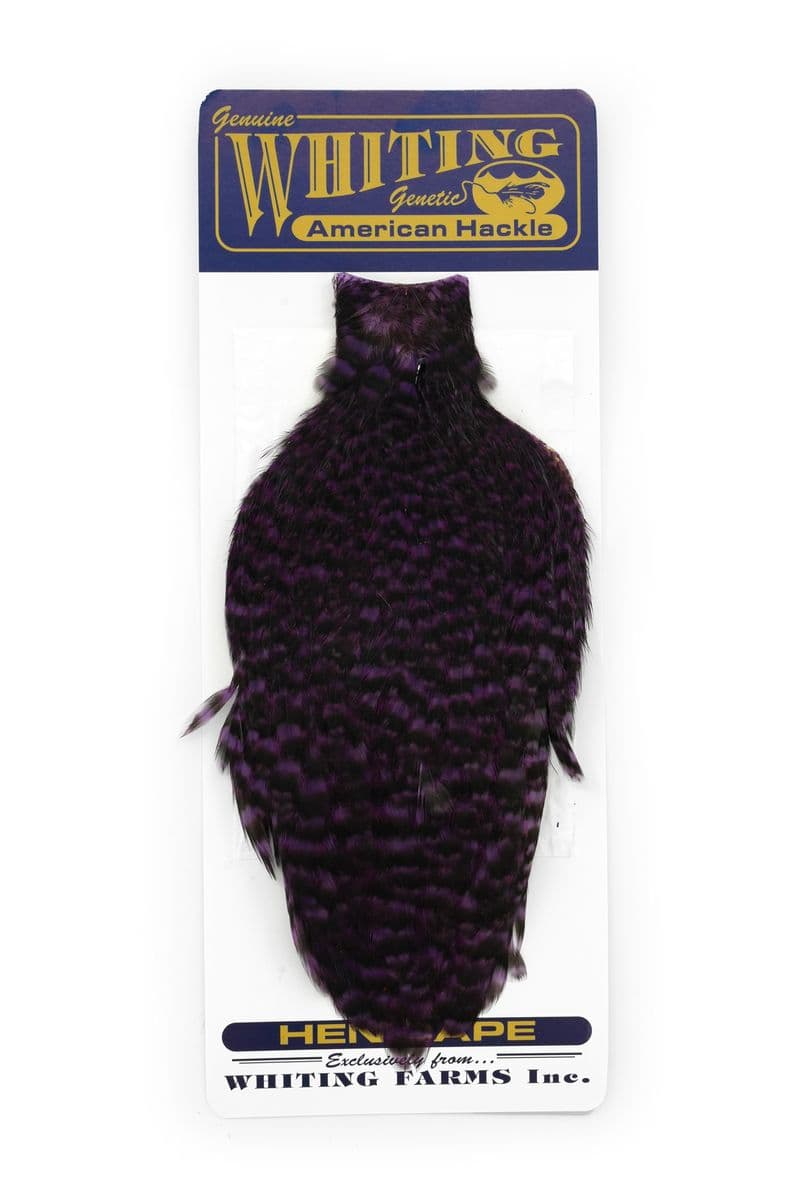 American Hen Cape Grizzly dyed Purple view 3