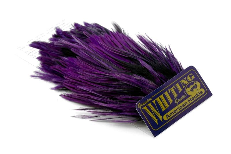American Streamer Pack Black laced White dyed Purple view 3