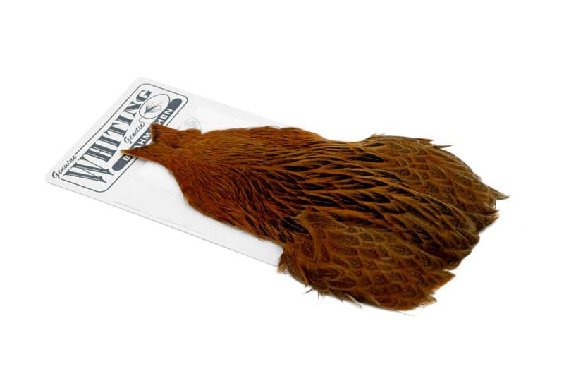 Brahma Hen Cape Badger dyed Golden Brown