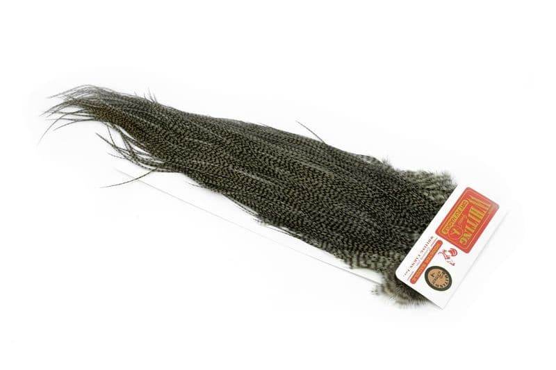 Whiting Silver Saddle Grizzly dyed Dun view 2