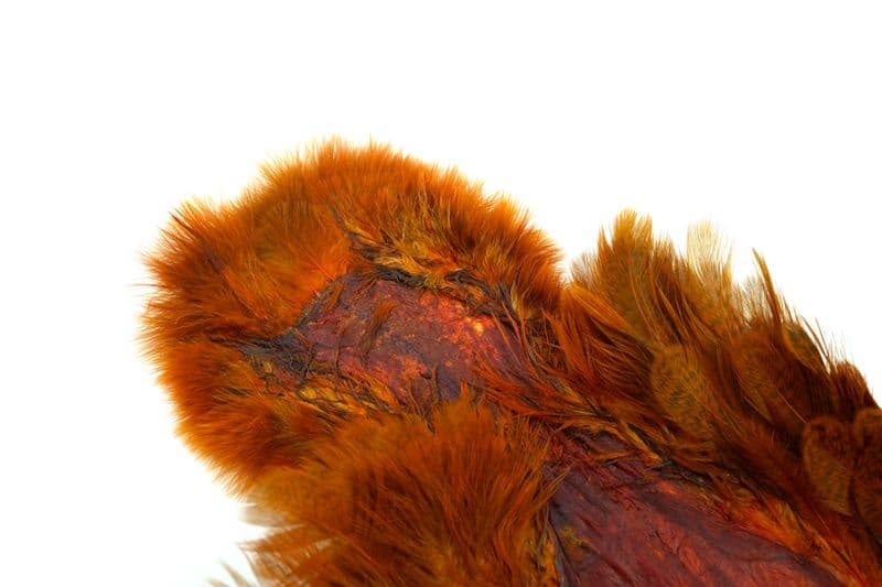Brahma Hen SH/C Speckled dyed Burnt Orange view 1