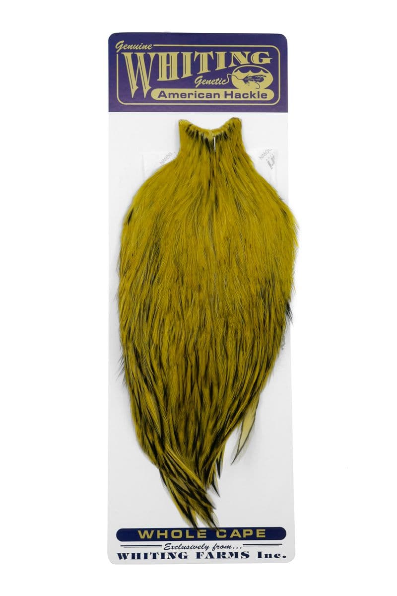 American Rooster Cape BLW dyed Golden Olive view 3