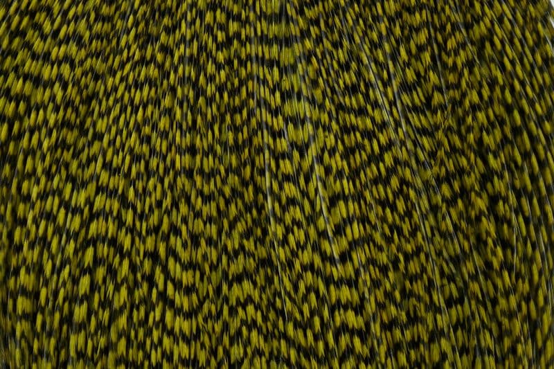 Whiting Pro Grade Cape Grizzly dyed Dark Olive view 1