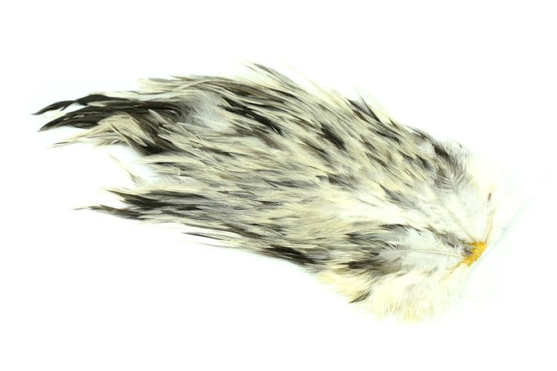 4 B's Rooster Saddle Splash
