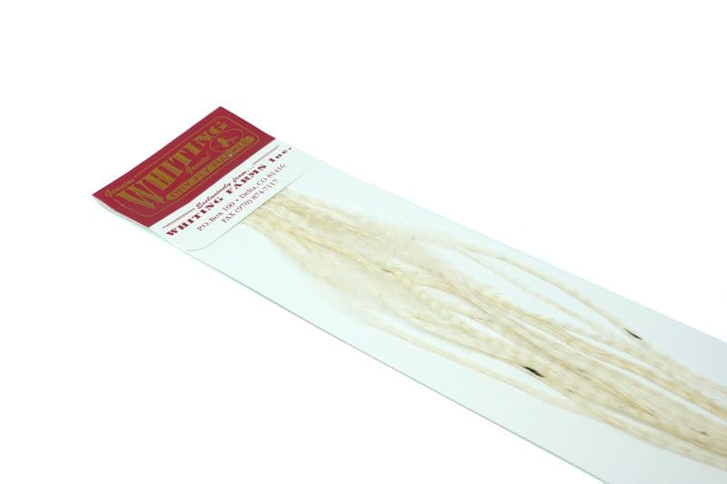 Whiting 100 Pk Size 16 White view 3