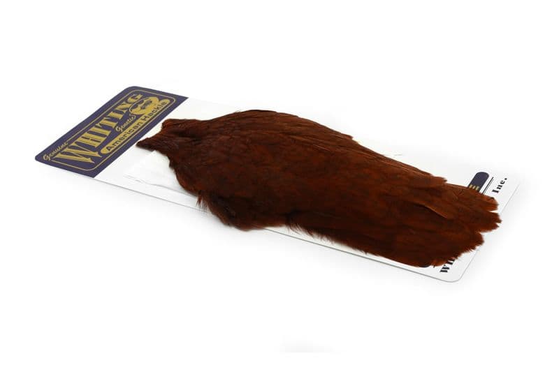 American Hen Cape White dyed Coachman Brown view 2