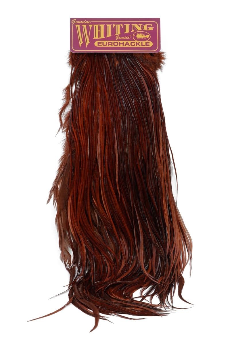 Eurohackle Saddle White dyed Coachman Brown view 3