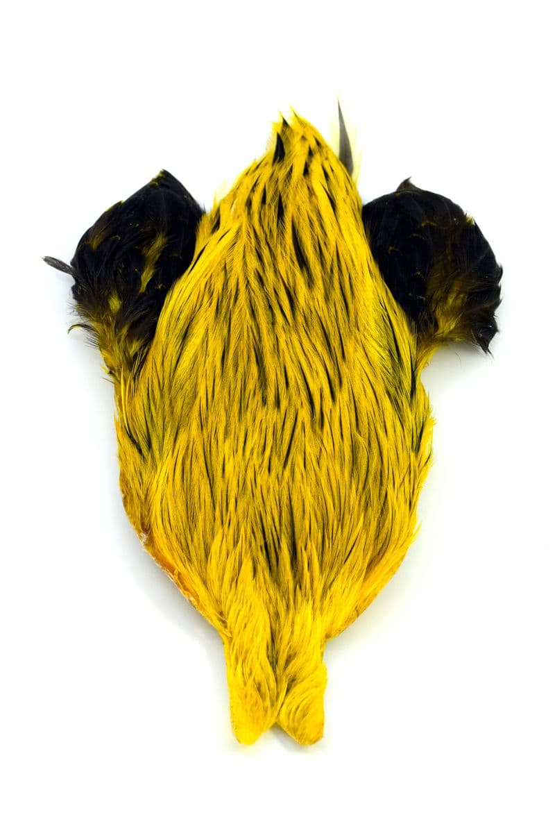 Brahma Rooster Cape Badger dyed Yellow view 3