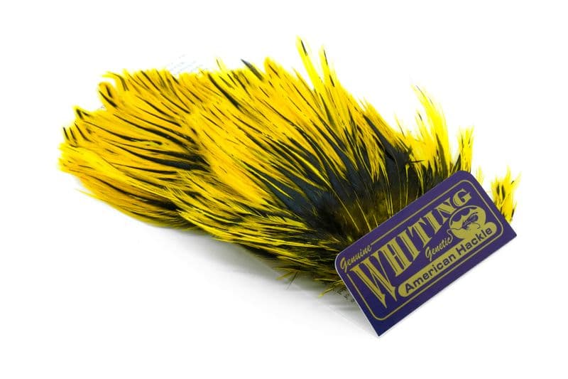 American Streamer Pack Black laced White dyed Yellow view 3