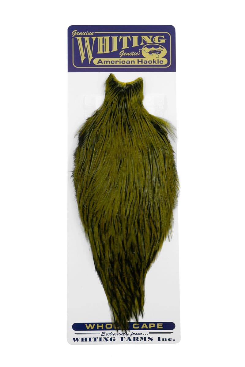 American Rooster Cape BLW dyed Dark Olive view 3