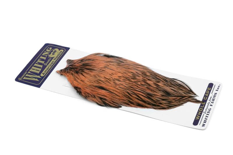 American Rooster Cape BLW dyed Salmon view 2