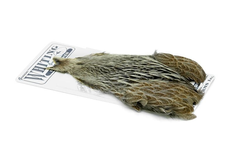 Brahma Hen Cape Cream Badger