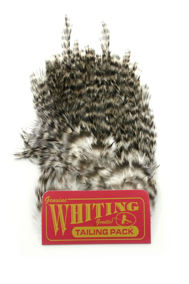 Coq de Leon Tailing Pack Grizzly view 2