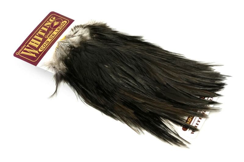 Coq de Leon Bronze Saddle Black view 2