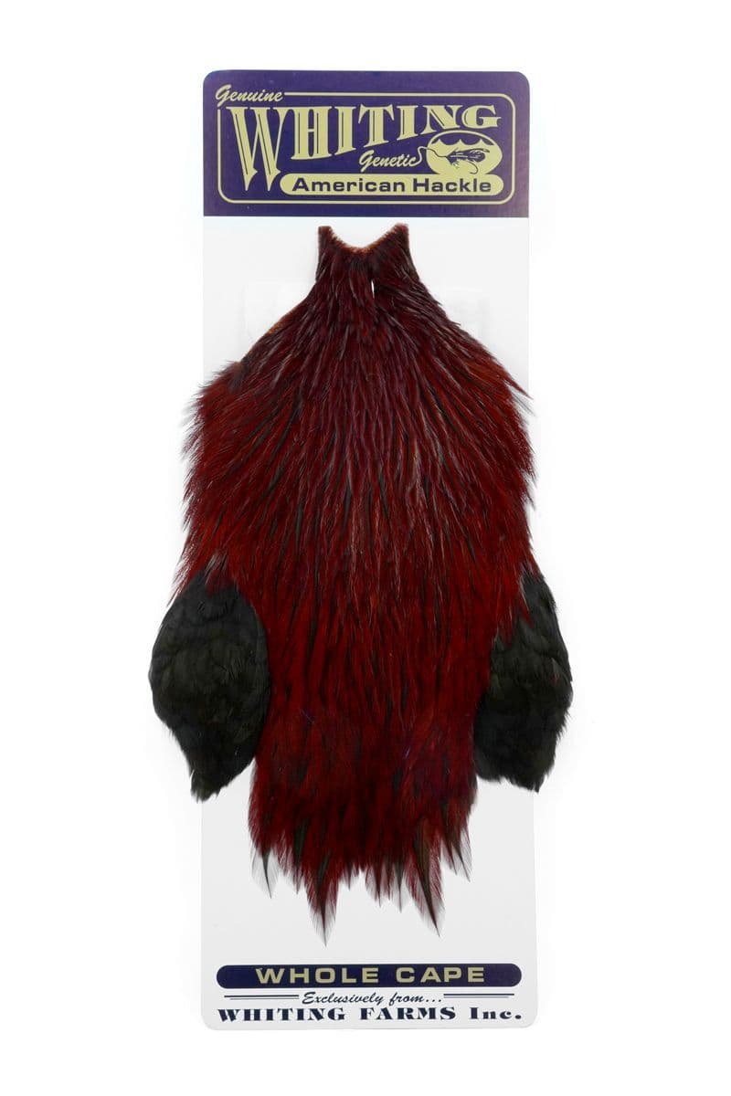 American Rooster Cape Badger dyed Fiery Brown view 3