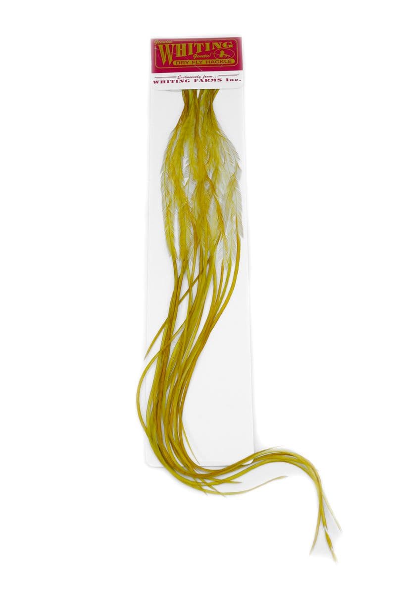 Whiting 100 Pk Size 14 White dyed Golden Olive view 2