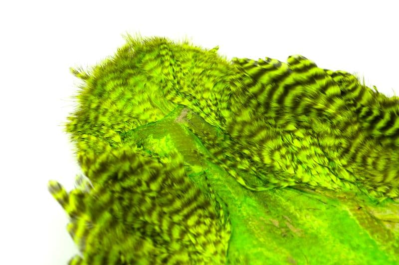 Whiting Rooster SH/C Grizzly dyed Fl Grn Chart view 1