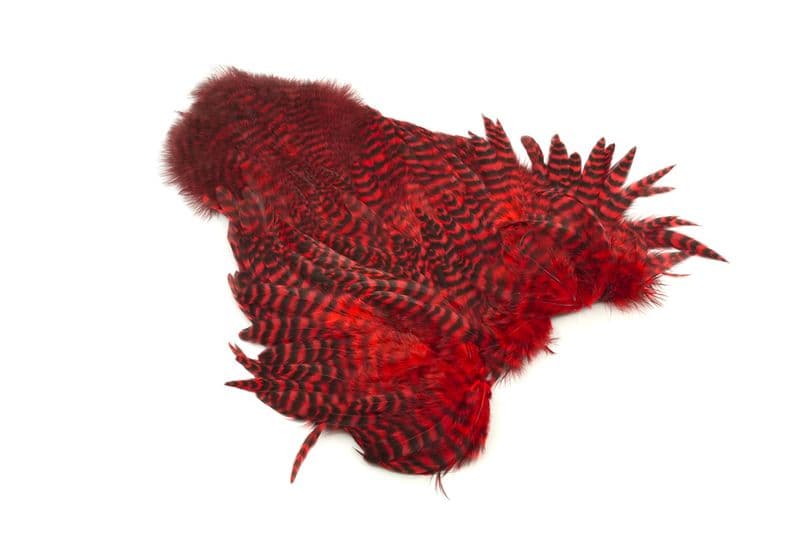 Whiting Rooster SH/C Grizzly dyed Red view 1
