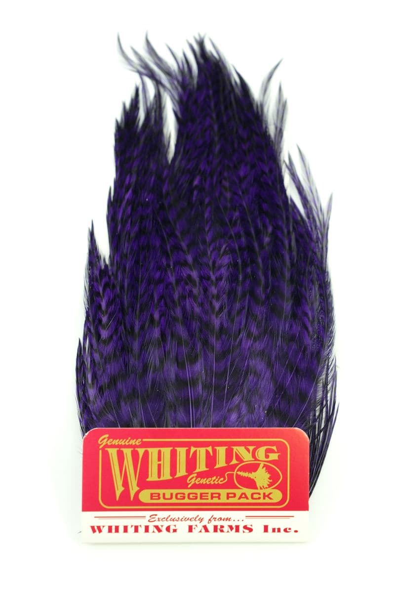 Whiting Bugger Pack Grizzly dyed Purple view 3