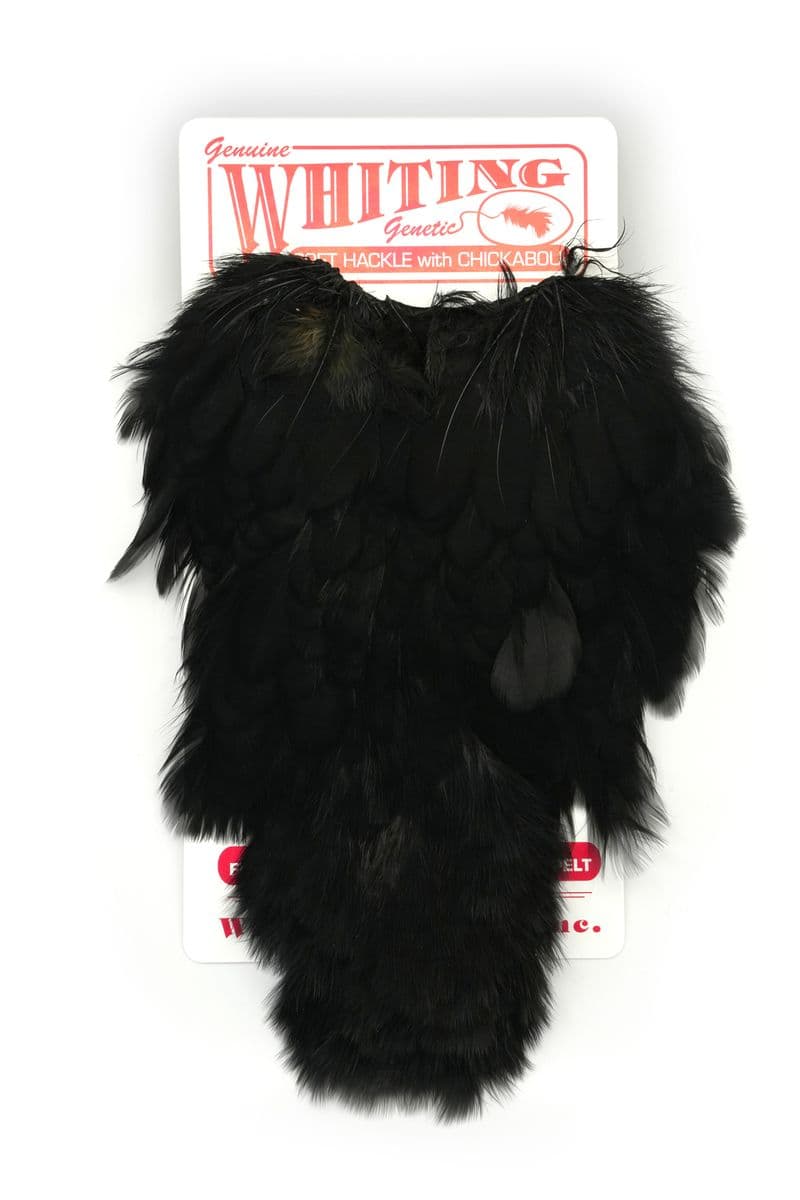 Coq De Leon Hen SH/C Black view 3