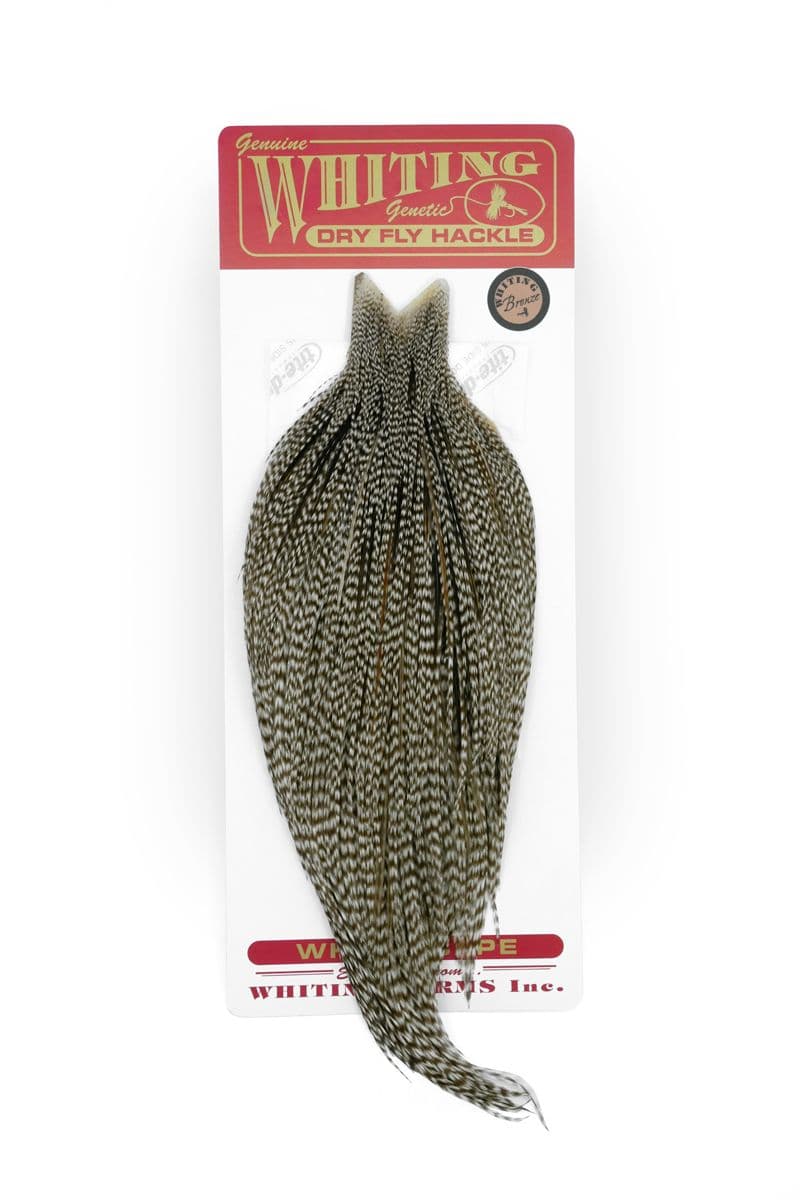Whiting Bronze Cape Dun Grizzly view 3