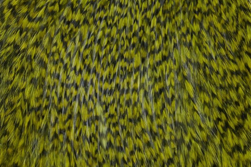 Coq de Leon Cape Grizzly dyed Olive