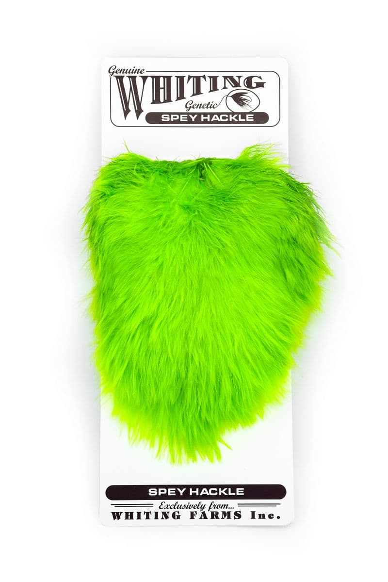 Spey Hackle Hen Saddle White dyed Fl. Green Chartreuse view 3