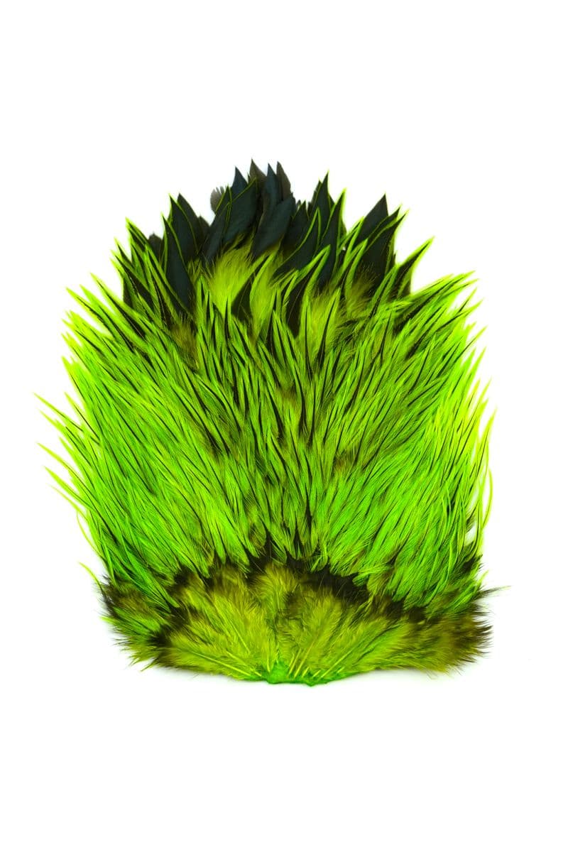 Brahma Rooster Saddle Badger dyed Fl Green Chartr view 3