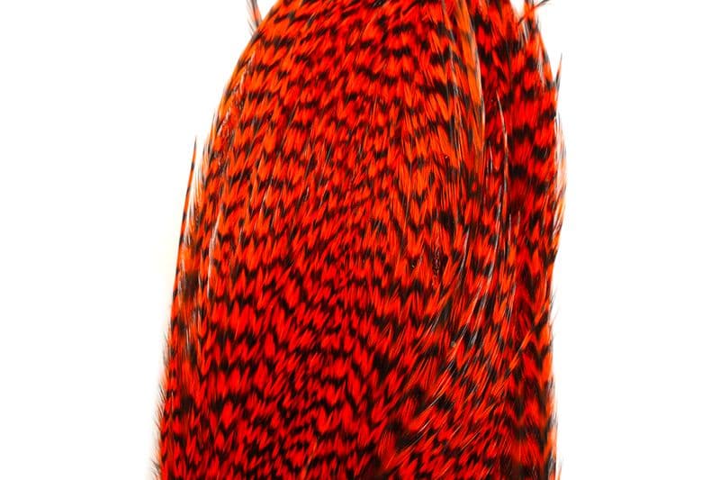 Whiting Bugger Pack Grizzly dyed Orange view 1