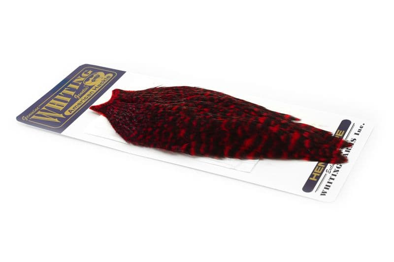 American Hen Cape Grizzly dyed Red view 2