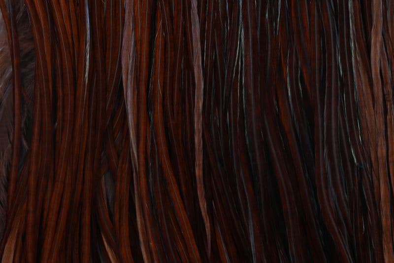 Eurohackle Saddle White dyed Coachman Brown view 1