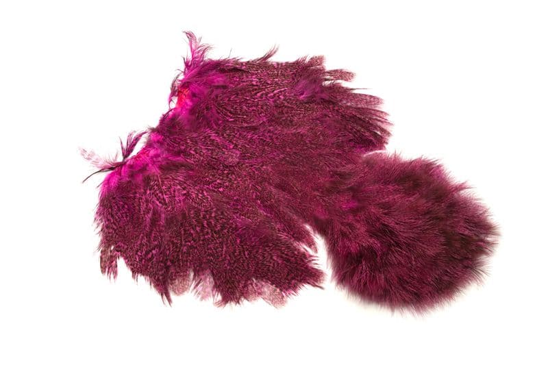 Coq De Leon Hen SH/C Speckled dyed Pink view 4