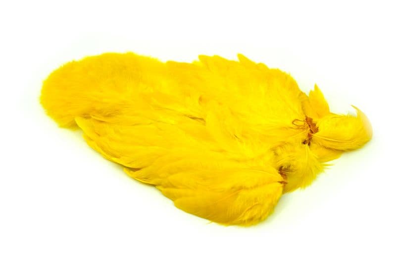 American Hen SH/C White dyed Yellow view 2