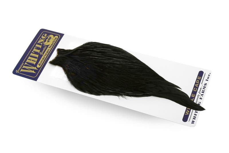 American Rooster Cape Black view 2