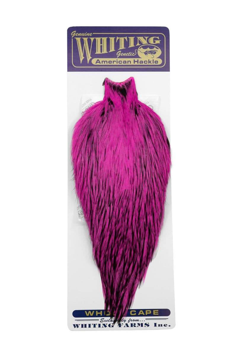 American Rooster Cape BLW dyed Pink view 3
