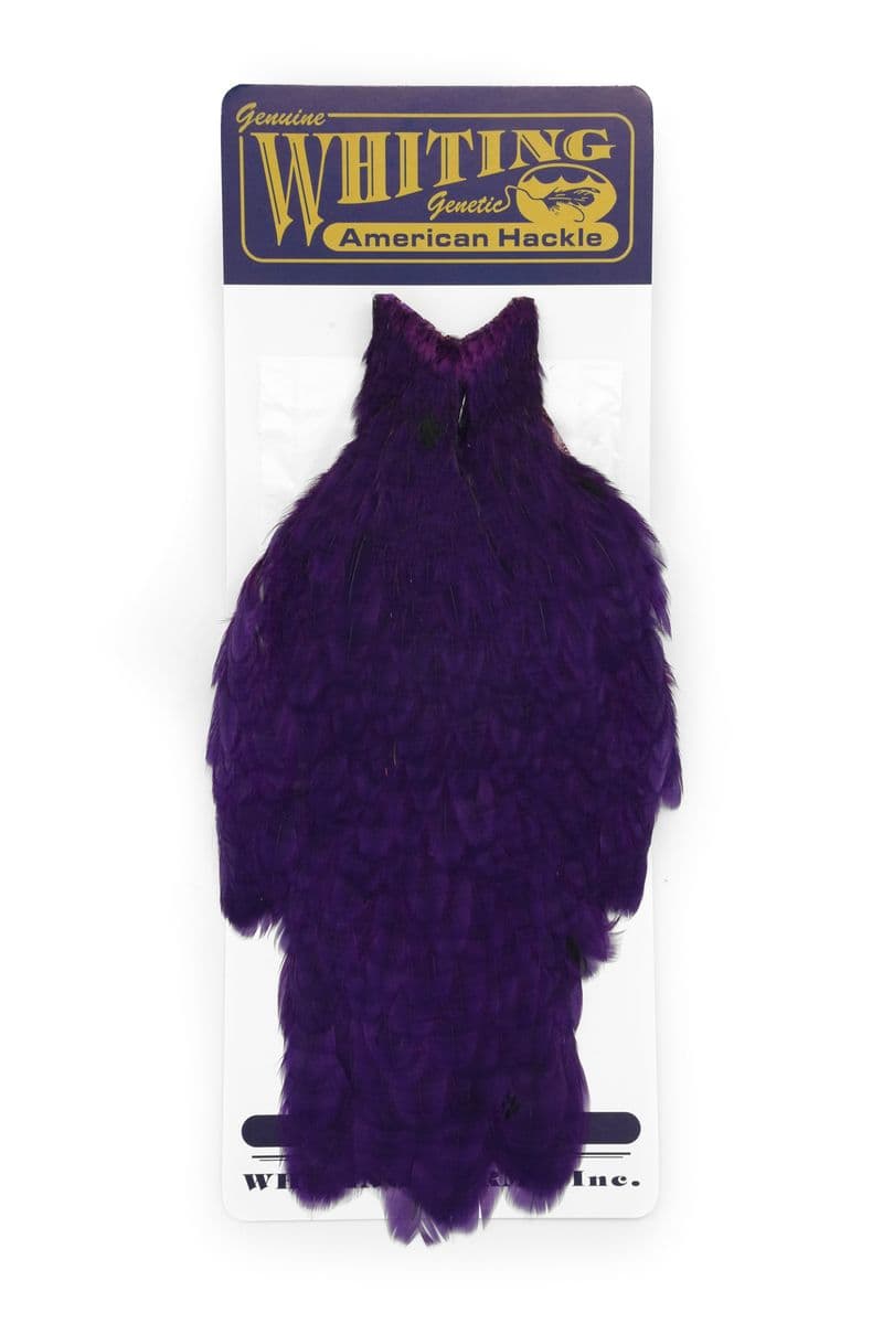 American Hen Cape White dyed Purple view 3