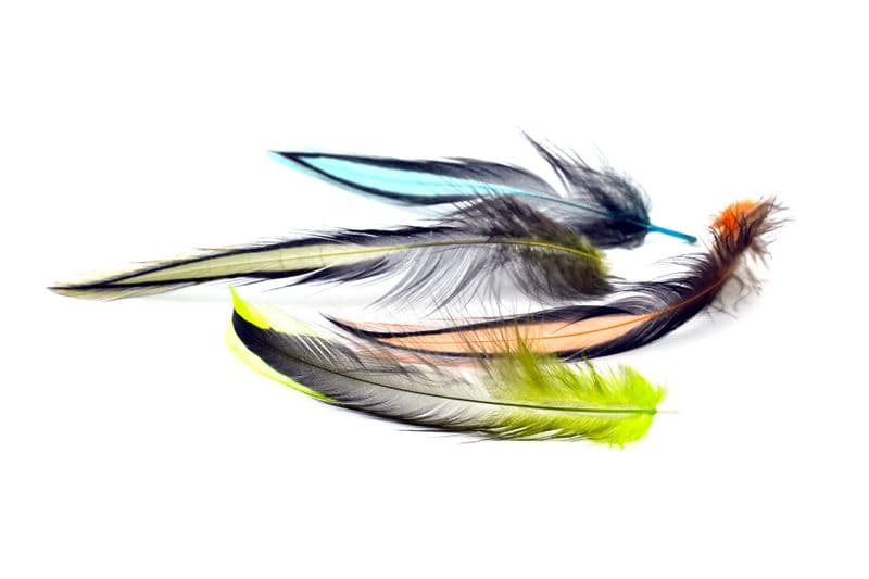American Rooster Cape BLW dyed Yellow view 4