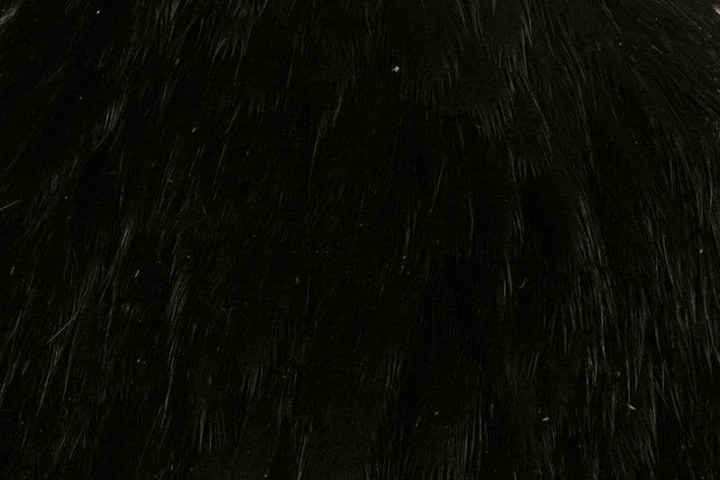 Coq de Leon Hen Cape Black view 1