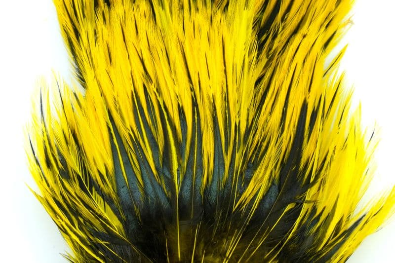 American Streamer Pack Black laced White dyed Yellow view 1