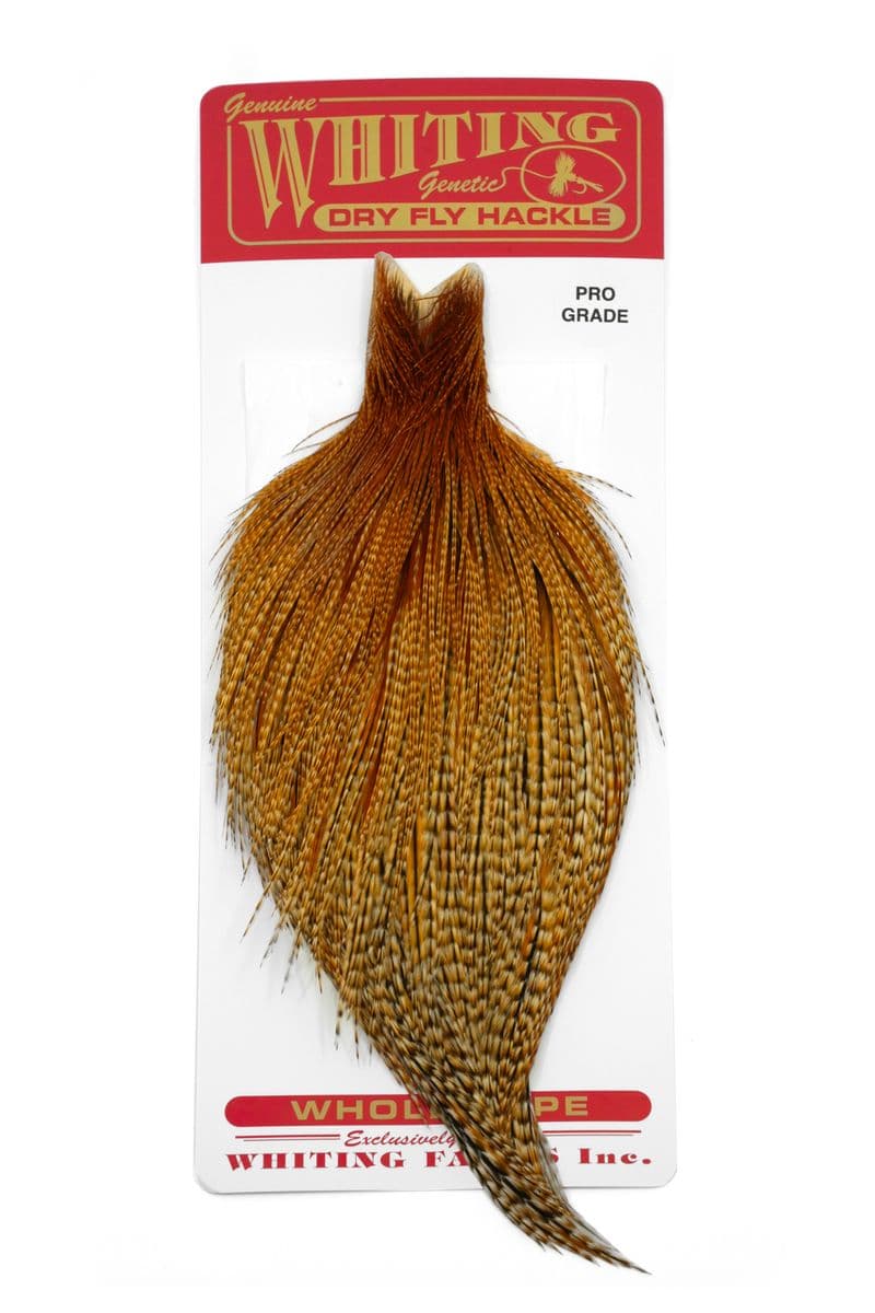 Whiting Pro Grade Cape Barred Dark Ginger view 3