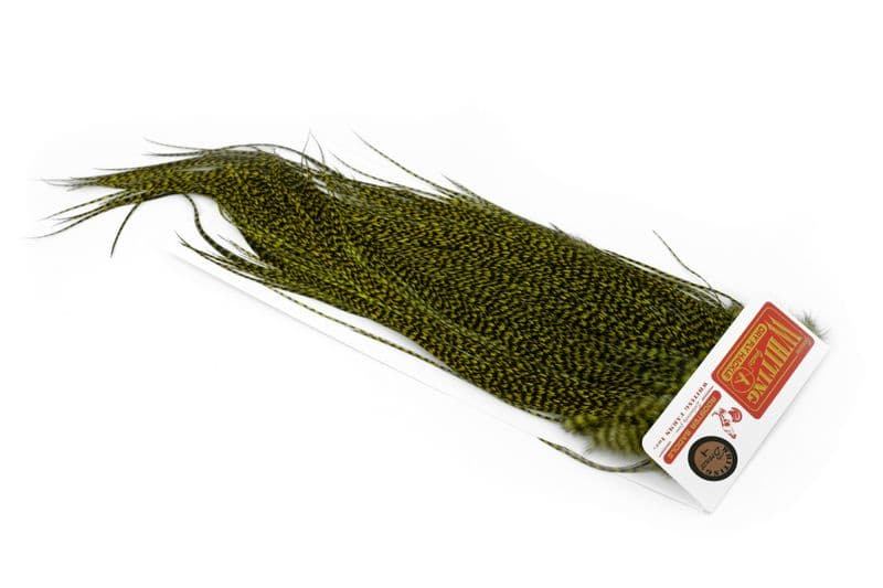 Whiting Bronze Midge Saddle Grizzly dyed Dark Olive view 2