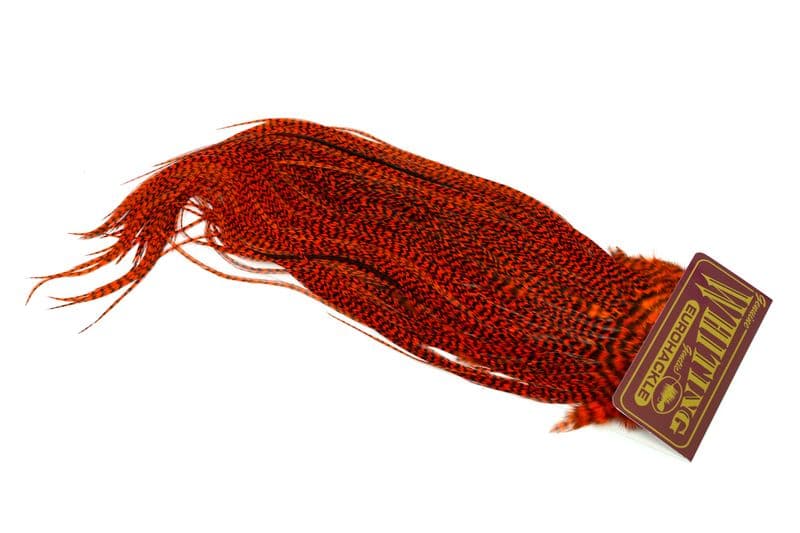 Eurohackle Saddle Grizzly dyed Orange view 2
