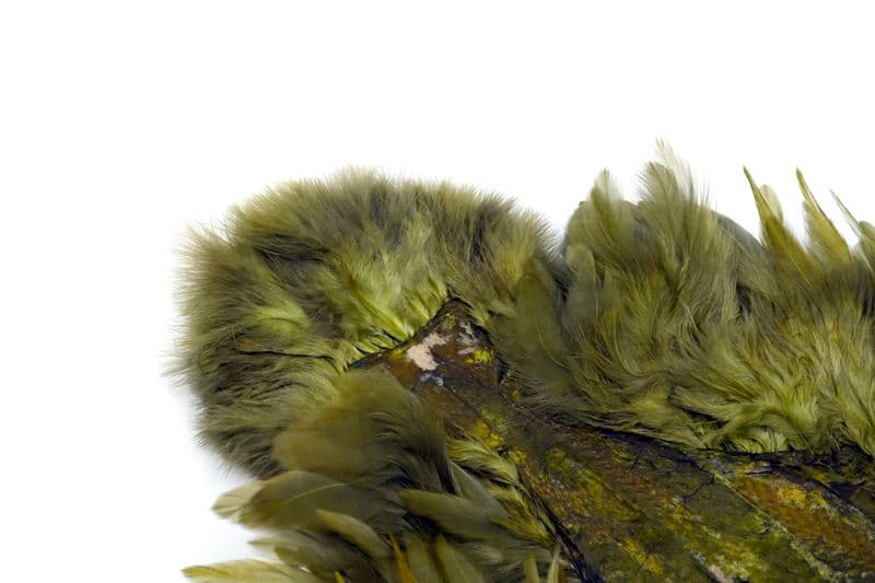 Whiting Rooster SH/C White dyed Dark Olive view 1