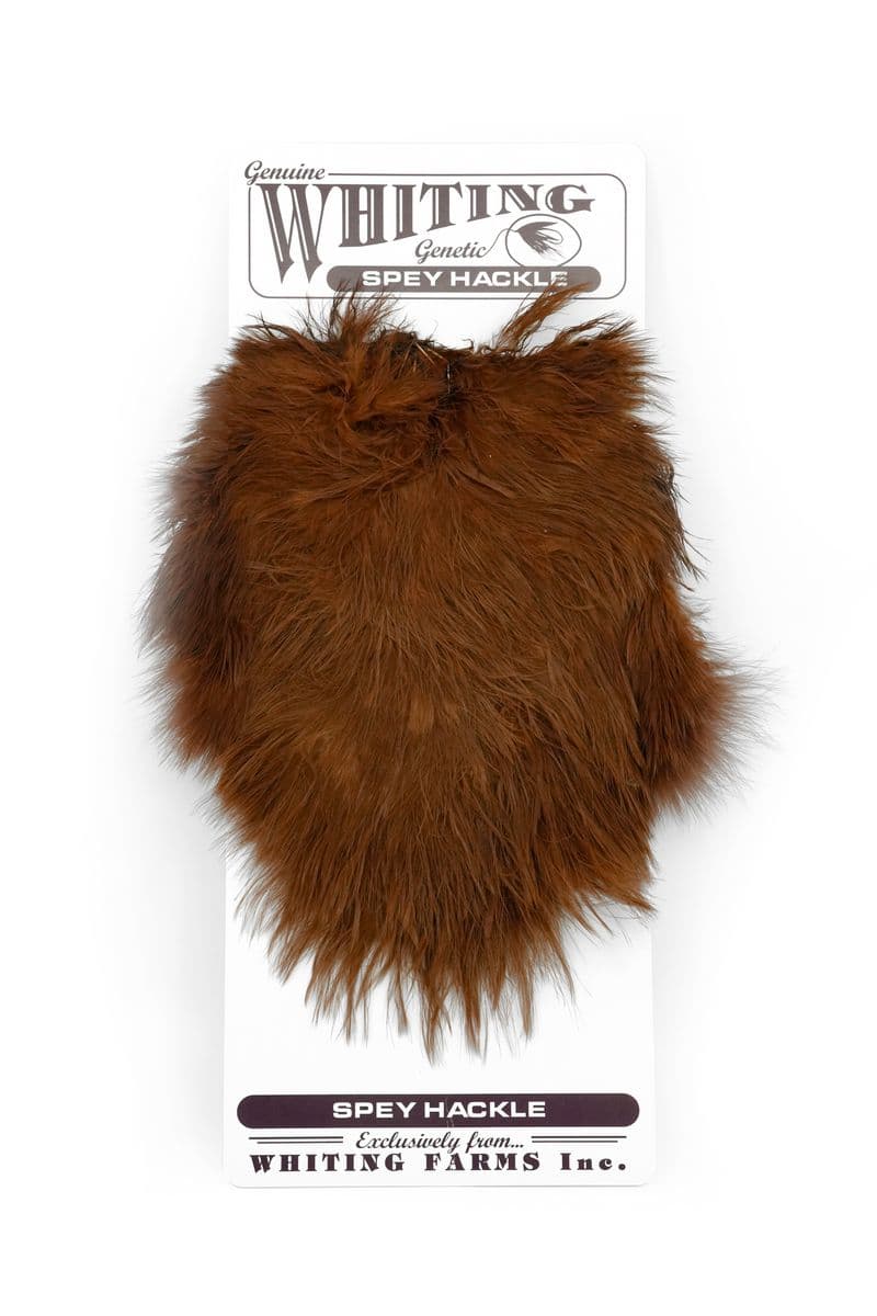 Spey Hackle Hen Saddle White dyed Brown view 3
