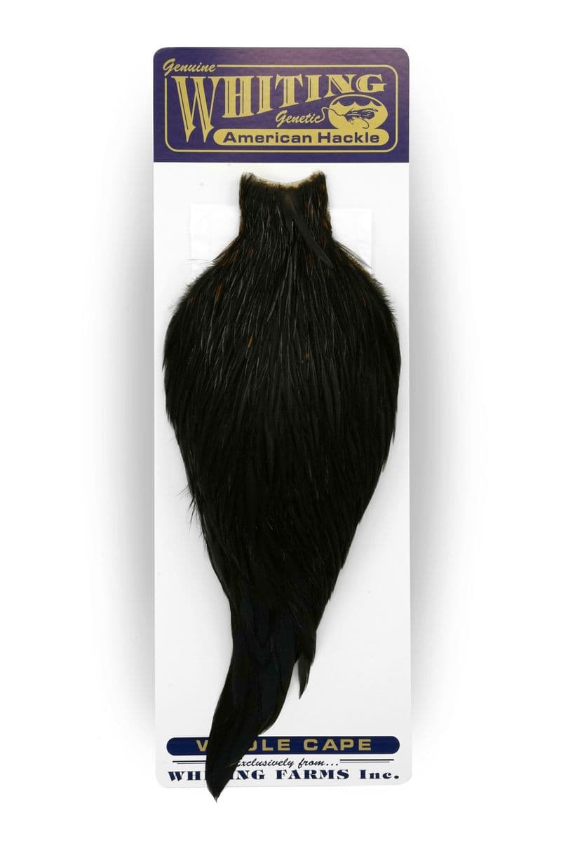 American Rooster Cape Black view 3