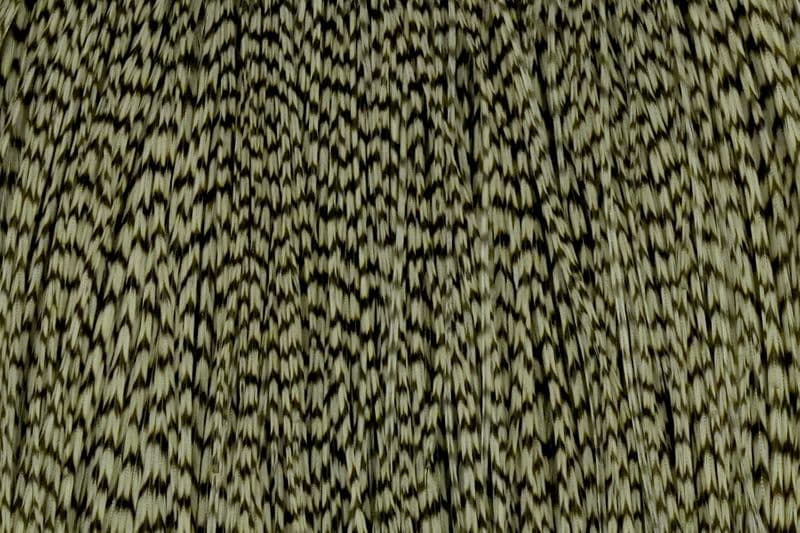 Whiting Silver Cape Grizzly dyed Dun view 1
