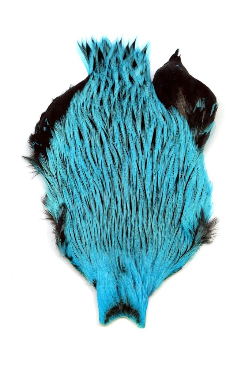 Brahma Rooster Cape Badger dyed Silver Dr Blue view 3