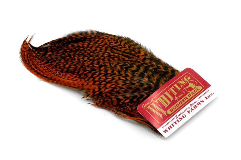 Whiting Bugger Pack Grizzly dyed Burnt Orange view 2